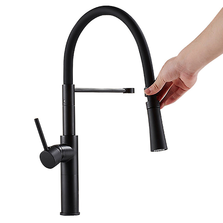 Vela matte black semi-pro kitchen faucet
