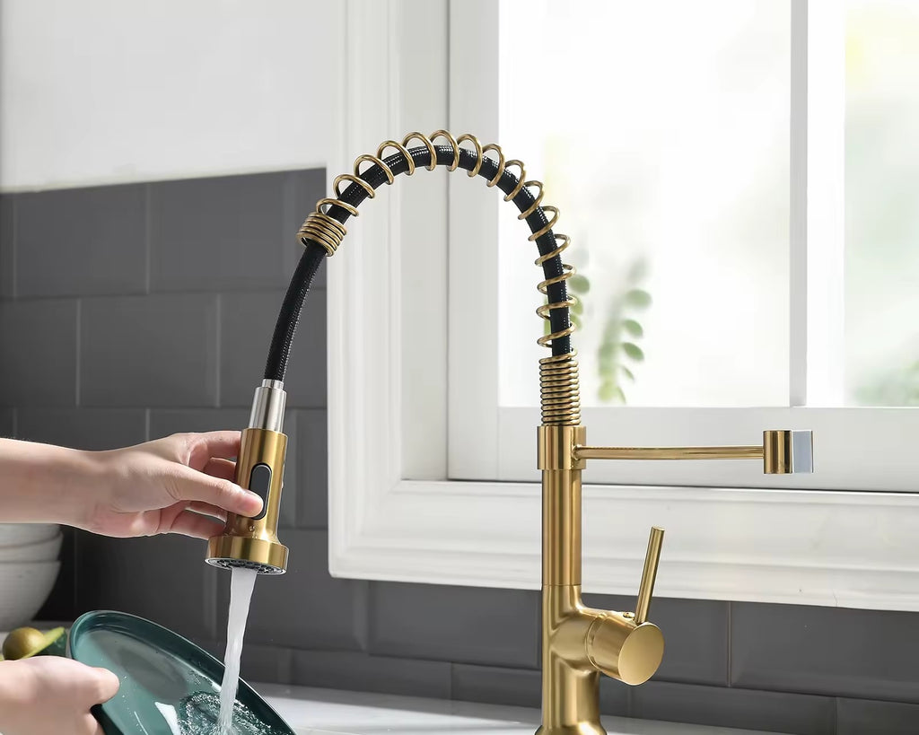 Gilt faucet spray mode rinsing a plate